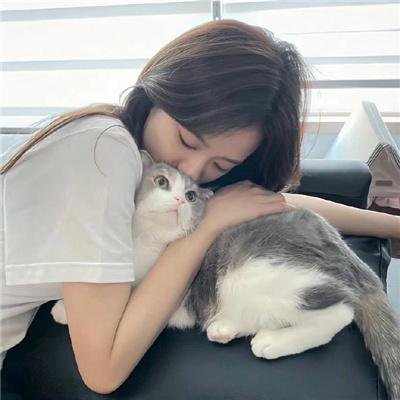 大盗吉普赛